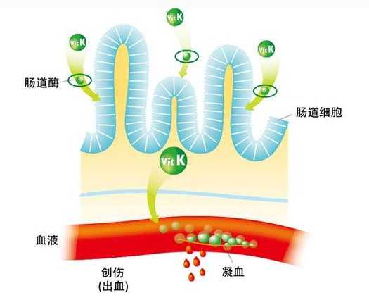 母乳喂养十大好处排行榜前10名