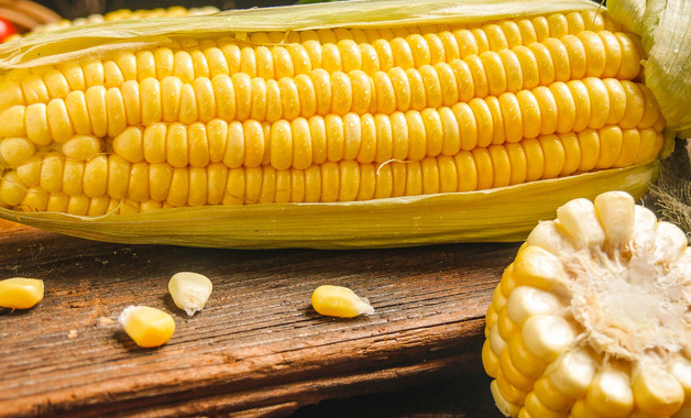 玉米怎么保存新鲜时间长